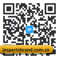 iPhone 专版 二维码